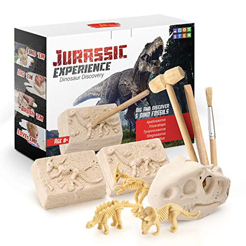 Ages 6 * Discover w/ Dr Cool New DINO POOP MINI DIG KIT w/ Dinosaur Fossil
